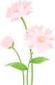 152615qfbtfs0877fo0ktm.png