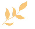 100550lufofj9v9r1n3u1p.gif
