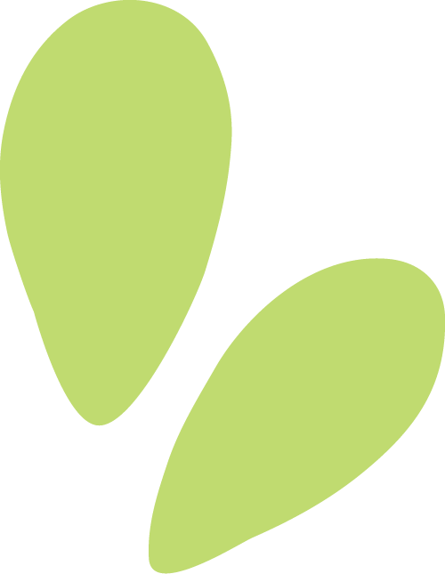 153501b8d82s2l626tllds.png
