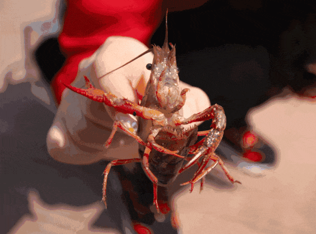 101408xqmshco9socgoo7q.gif