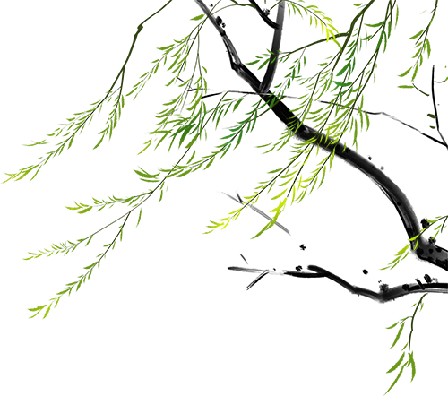095405ufznge0w0grf7neu.png