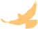 083631jyopf5wo65t50wty.png