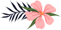 093905tqbbp0amjbzapibm.png