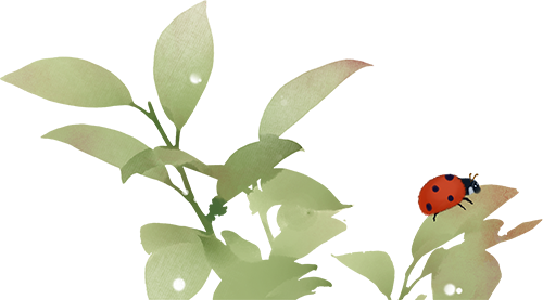 174138f8hh081uogo7caxv.png
