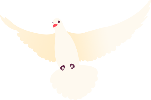 162725elb8wv0lmypvok8c.png