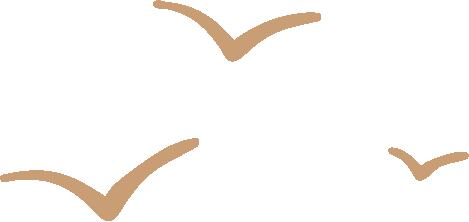 172408b772udbgr2746vp3.png