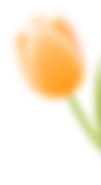 100453uz83wqw2d15d3gww.png