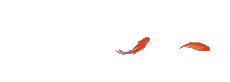 101538w8aqqos5qqfnebnr.gif