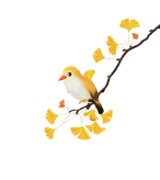 104940kxsvvvps0sr8q2sq.gif