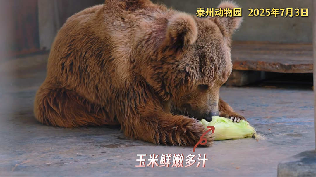 111530gx0x127ag7zx72zz.png