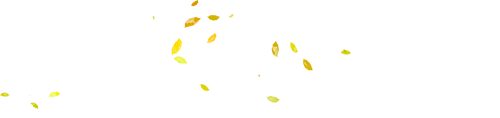 175350bxfuqtzqtpbeebft.png