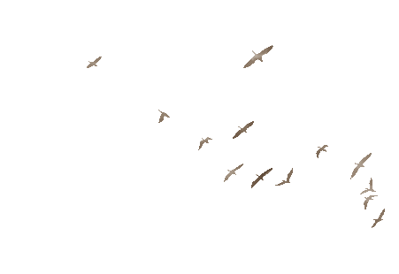 175352cimdkkkd3exekxgv.gif