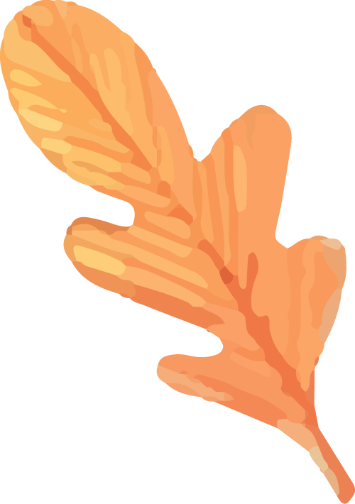 093230s6ofhomoml8l9yub.png