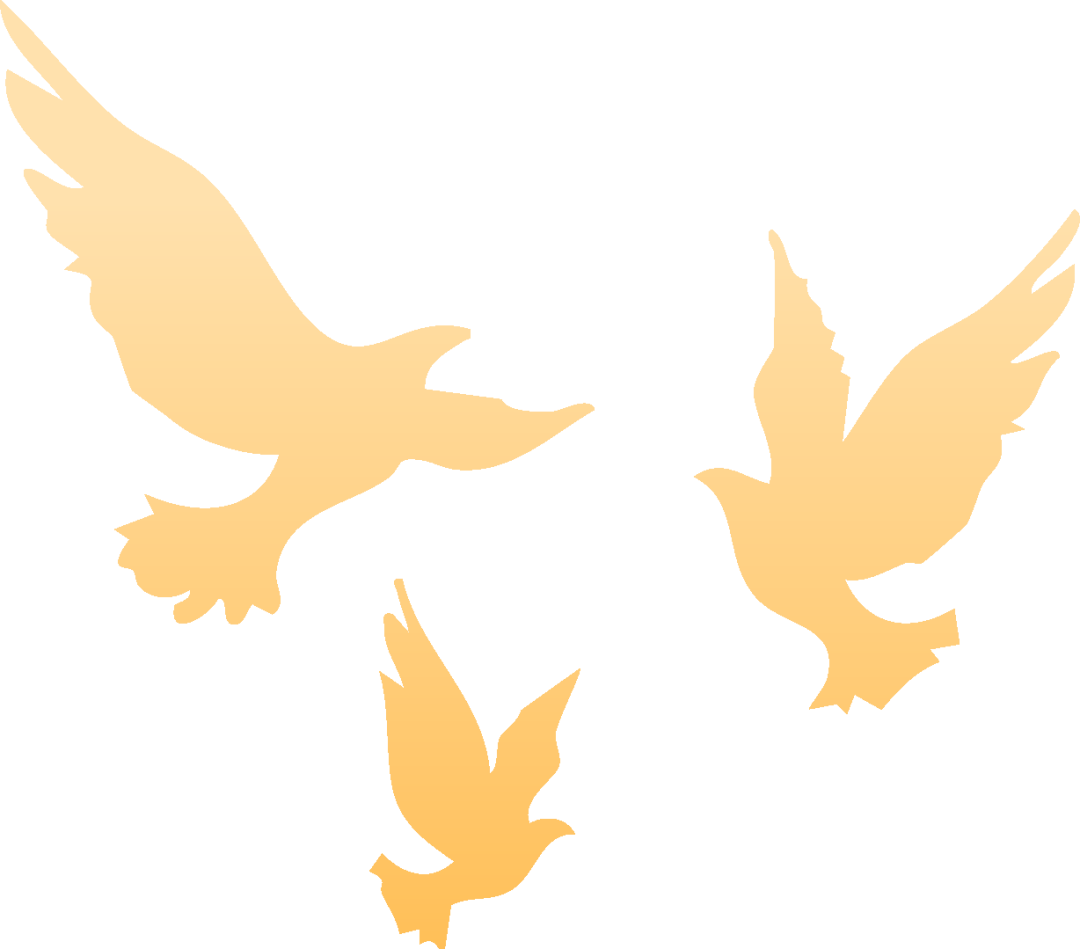 9dd64368586e02da901c5f4263cceb13.png 9dd64368586e02da901c5f4263cceb13.png