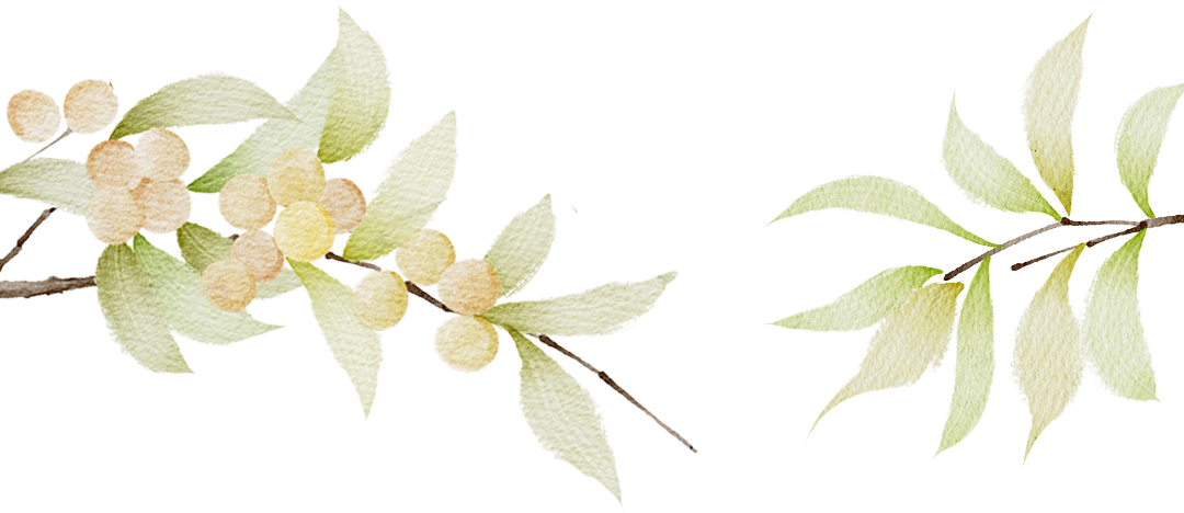 a39774fbb375be0ed2cef9ed85ec516f.png a39774fbb375be0ed2cef9ed85ec516f.png