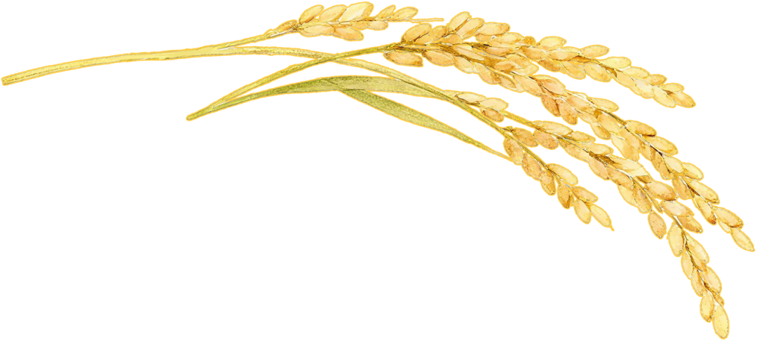 a77cb2ea50aeddaa682d5f968804783c.png a77cb2ea50aeddaa682d5f968804783c.png