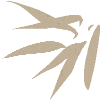 43681a91f2b4ae8eac7ba569de7ac788.gif
