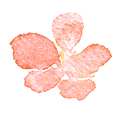 e8a606d64f54bf4d92334b0da1ffd844.gif