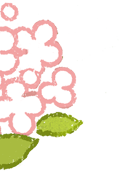 c91b5e2673bd89a78e90c06b1f3e12b7.png