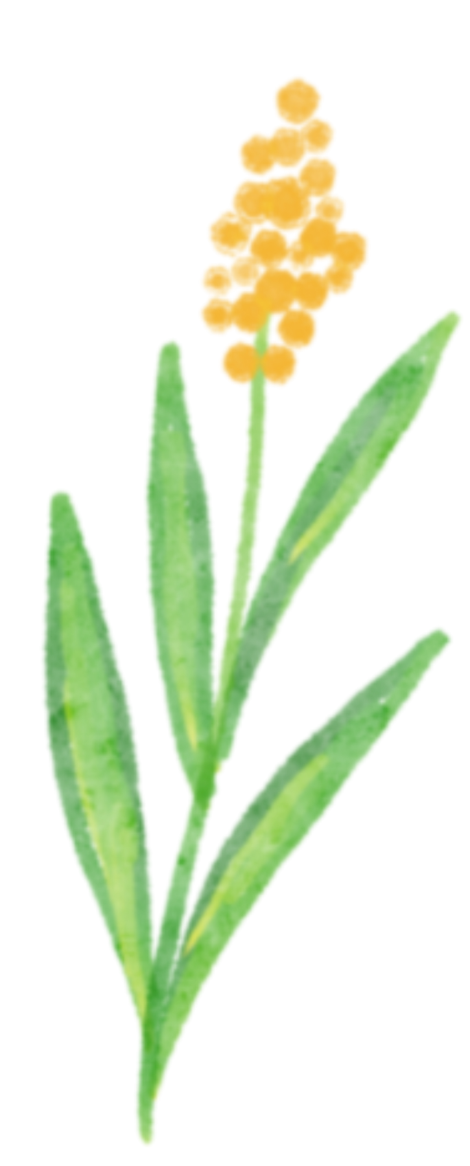 4d55bed2a03314015d792cfcc31b1760.png