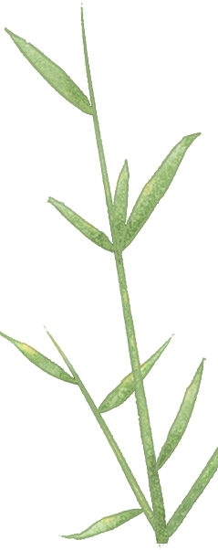 df110bab2454c3ad8de11324601a3be1.png