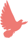 7e752314632157efca0ce9f64d424874.png