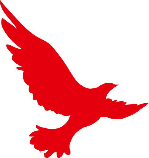 ea9e519484609c1778fcd30688c859bf.png