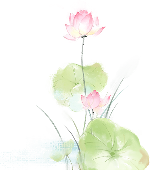 e87d8d29a8decfd3bdd08c168225a882.png