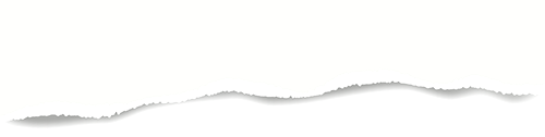 c49f54da3f9c19998b77827db7d44fc0.png