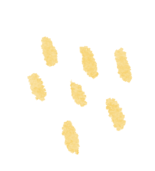 a12ff5a0b949409762dfc8090d31bf22.png