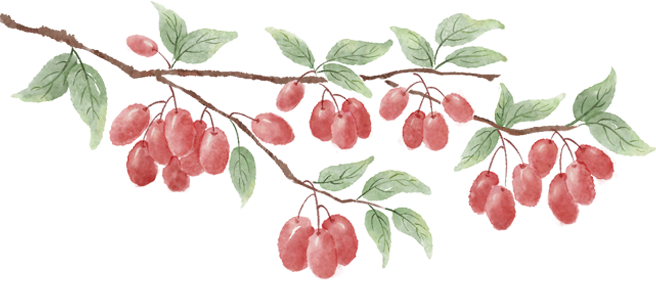 f8dbbe213acb41b1ceb27ab91aeada37.png