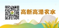 区农水局举办“争做新时代农水青年先锋”主题演讲比赛